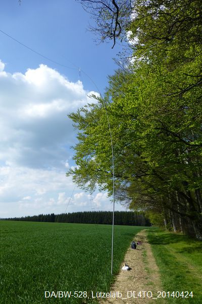 Weg von den Bäumen....JPG