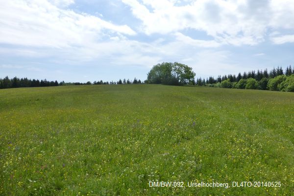 Hochfläche Urselhochberg.JPG